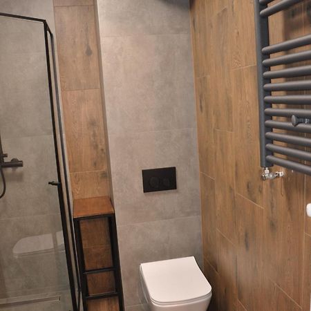 Appartement Malinowka Izerska à Świeradów-Zdrój Extérieur photo